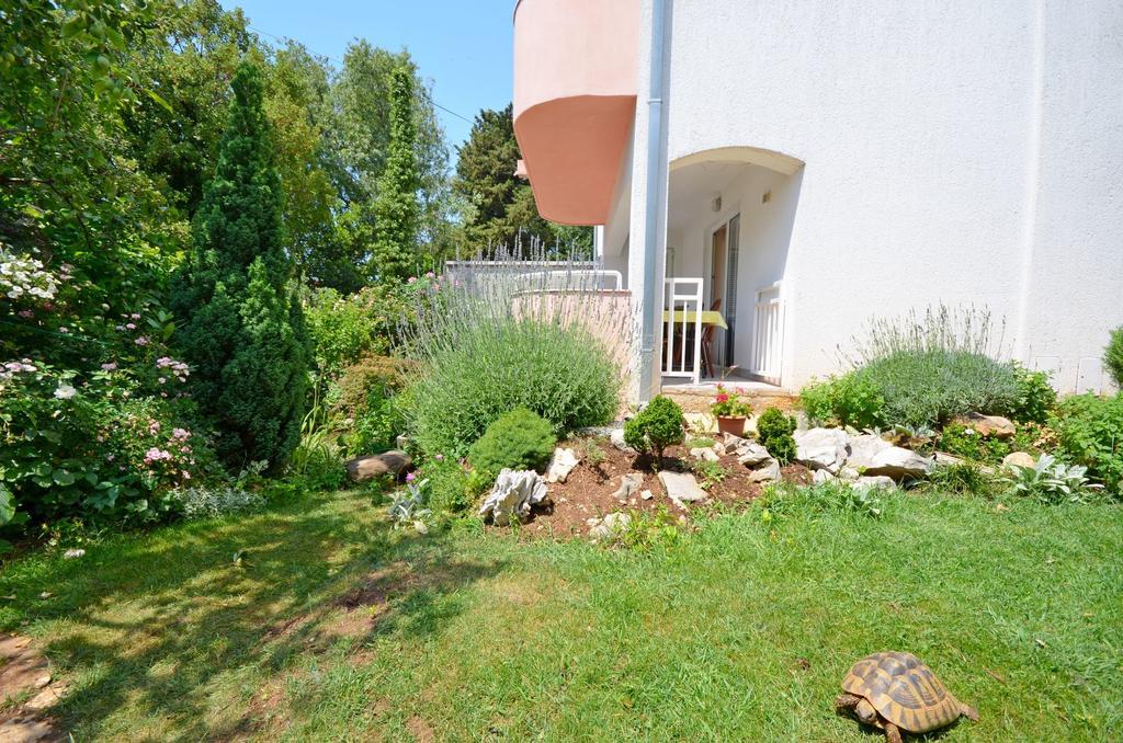 Apartments Snjezana Novi Vinodolski Exteriör bild